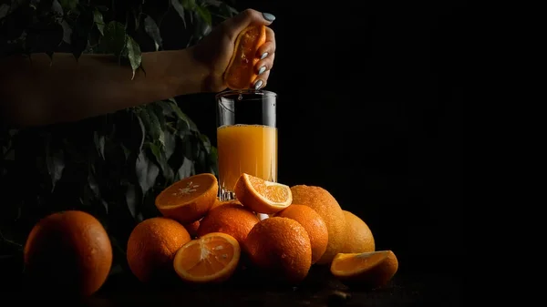 Апельсиновый Сок Наливают Стакан Женская Рука Выдавливает Апельсин Спелые Апельсины — стоковое фото
