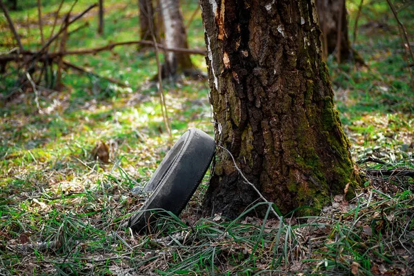 Old Car Tire Forest Garbage Forest — Stock Photo, Image