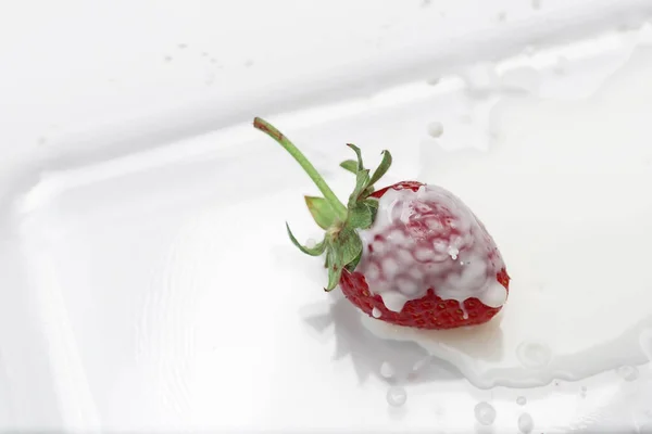 Rote Reife Erdbeeren Und Weiße Sahne Hausgemachter Joghurt — Stockfoto
