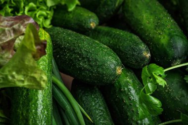 Yeşil sebze. Sonbahar hasadı. Vejetaryenlik. Sağlıklı beslenme.