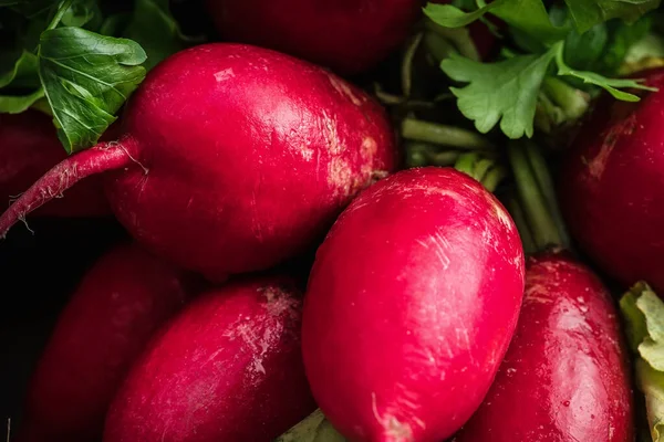 Verduras Frescas Cosecha Otoño Bodegón Vegetariano — Foto de Stock