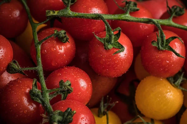 Bodegón Verduras Comida Saludable Vegetarianismo Cosecha Otoño — Foto de Stock