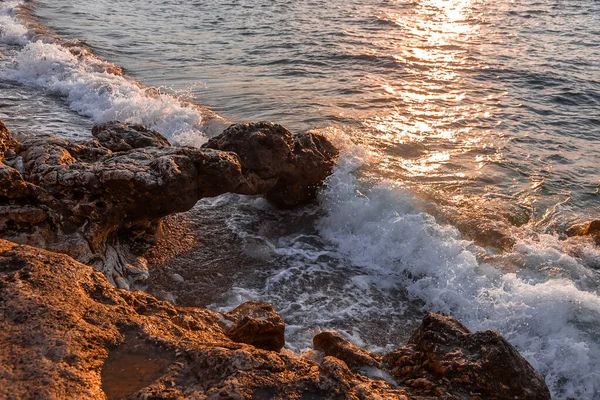 Orilla Rocosa Fondo Natural Tarde Verano Playa —  Fotos de Stock