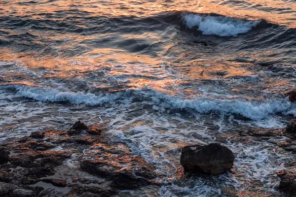 Kaya Sahili Doğal Arka Plan Sahilde Yaz Akşamı — Stok fotoğraf