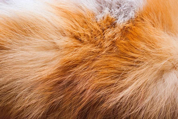Natural Brown Fox Fur Texture — Stock Photo, Image