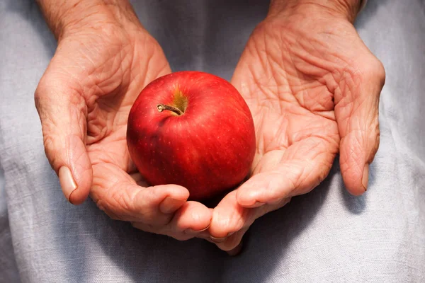 Hands Old Woman Holding Red Apple Concept Longevity Seniors Day Stock Image