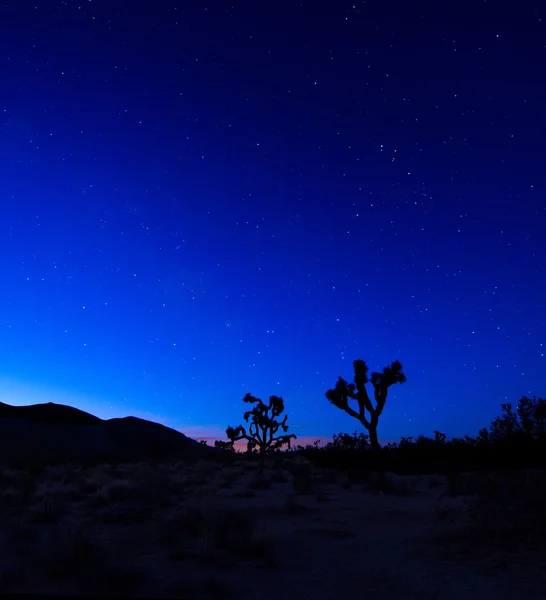 Noche en el amanecer Imagen de stock