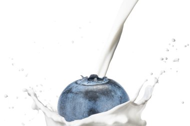 Süt Splash üzerinde düşen yaban mersini