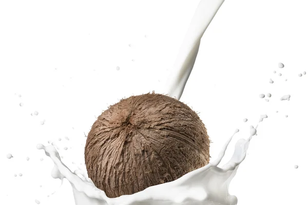 Cocco che cade sul latte spruzzato — Foto Stock