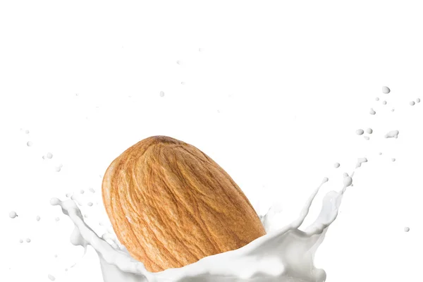 Almond faller på mjölk Splash — Stockfoto