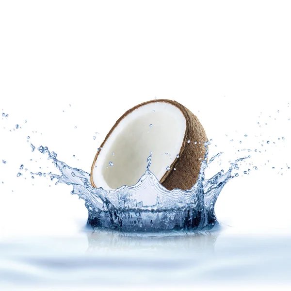 Coconut Falling into Water Splash — стоковое фото