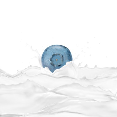 Süt sıçrama ile taze yaban mersini