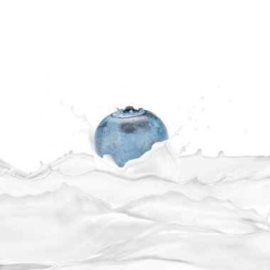 Süt sıçrama ile taze yaban mersini