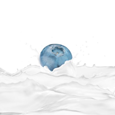 Süt sıçrama ile taze yaban mersini