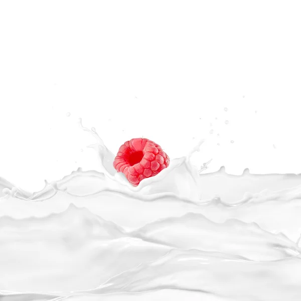 Raspberry On Milk Splash — Stok Foto