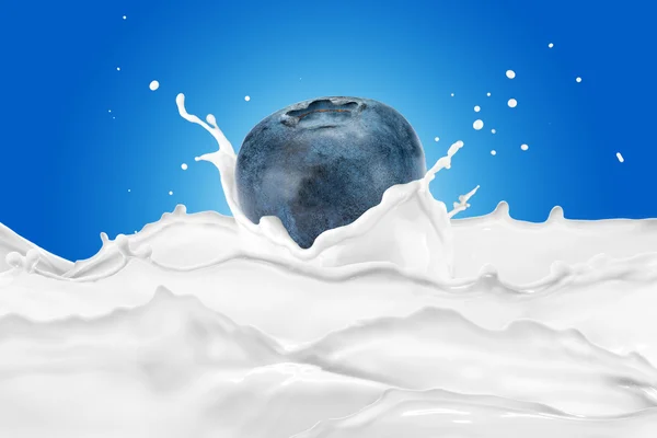 新鮮なブルーベリーと牛乳のスプラッシュ — ストック写真