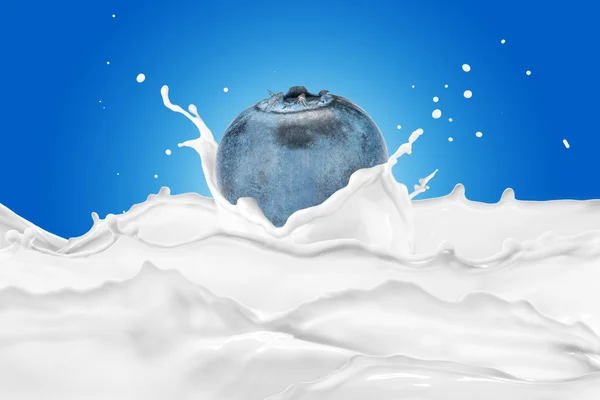 新鮮なブルーベリーと牛乳のスプラッシュ — ストック写真
