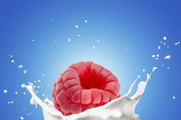 Framboise sur éclaboussure de lait — Photo