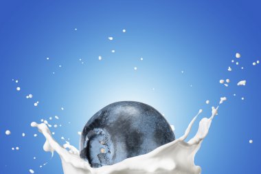 Süt sıçrama ile taze yaban mersini