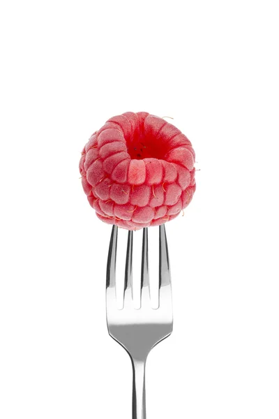 Fresca frambuesa grande en un tenedor — Foto de Stock