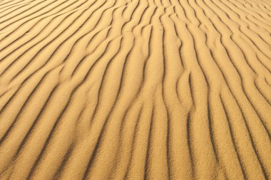 Desert Sand texture clipart