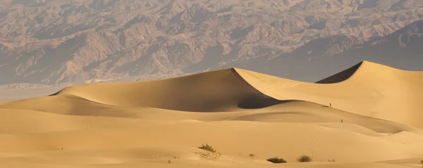 Woestijn zand duinen — Stockfoto