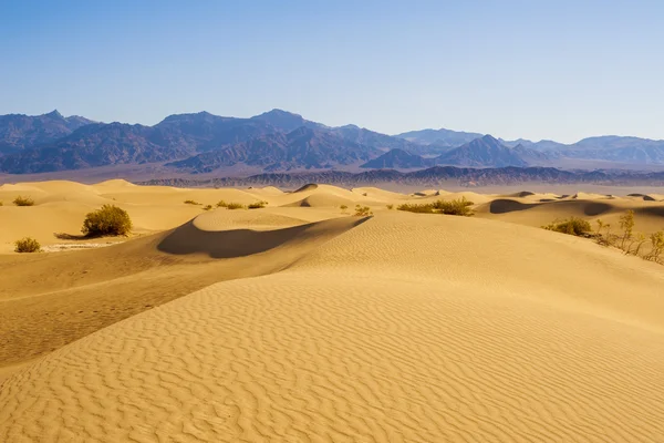 Sivatagi homok dűnék사막 모래 언덕 — Stock Fotó