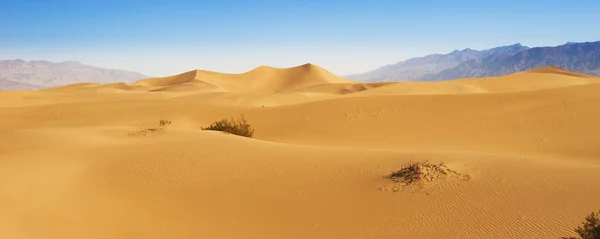 Wüstensanddünen — Stockfoto