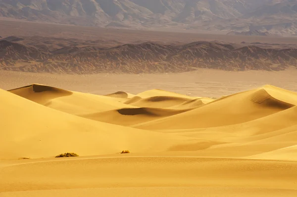 Dunas de arena del desierto — Foto de Stock