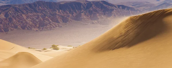 Deserto Dune di sabbia — Foto Stock