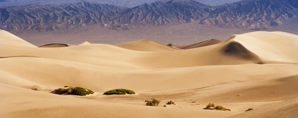 Pouštní písečné duny — Stock fotografie