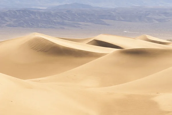 Pasir Gurun Dunes — Stok Foto