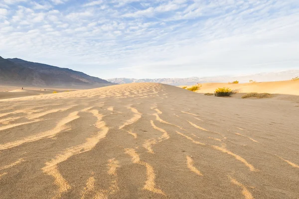 Dunas de arena del desierto —  Fotos de Stock