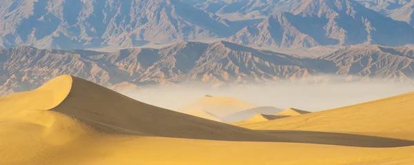 Dunas de arena del desierto —  Fotos de Stock