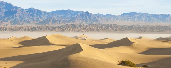 Dunas de arena del desierto —  Fotos de Stock