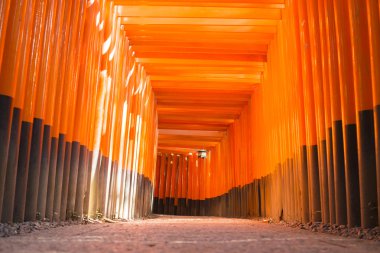 Fushimi Inari Tapınak.