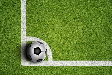 Futbol topu çimlerin üzerinde