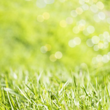 Yeşil Çimen Arkaplanı