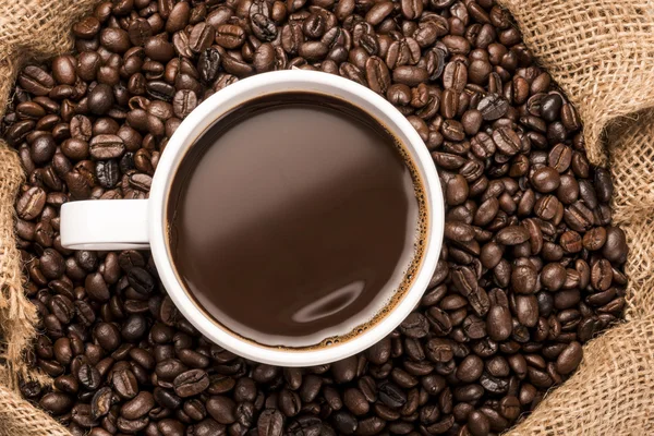 Taza de café caliente en granos de café — Foto de Stock
