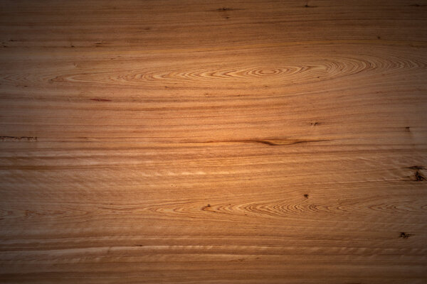 Текстура дерева