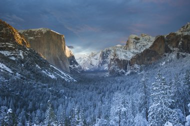 Yosemite Ulusal Parkı