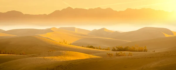 Desert Sand Dunes — Stock Photo, Image