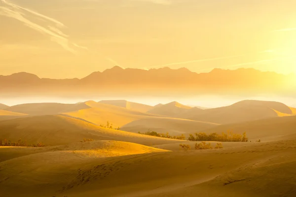 Dunes de sable du désert — Photo