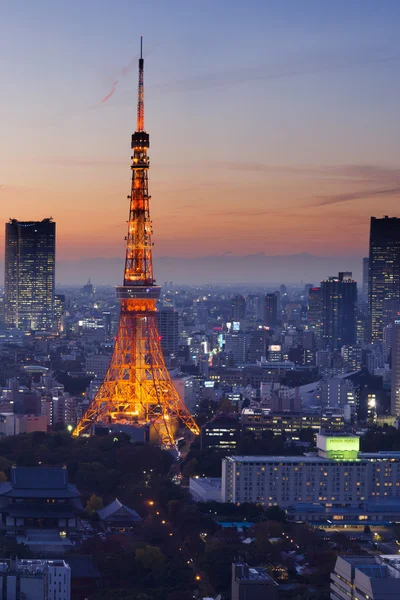 Paisaje urbano de la Torre de Tokio por la noche — Foto de Stock