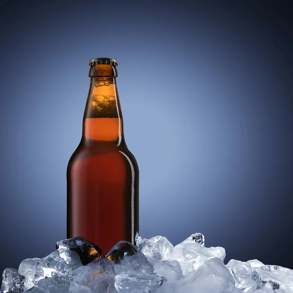 Bottiglia di birra su cubetti di ghiaccio — Foto Stock