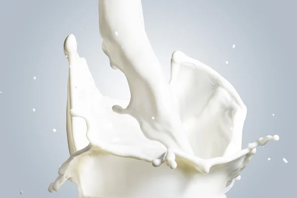 Milk Splash — Stock Photo, Image