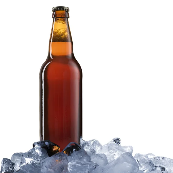 Botella de cerveza en cubos de hielo — Foto de Stock