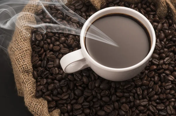 Kopp varmt kaffe på kaffebönor — Stockfoto