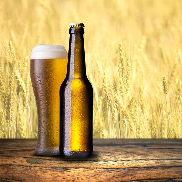 Láhve a sklenice studeného piva — Stock fotografie