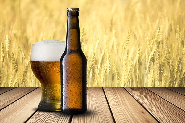 ボトルと冷たいビールのグラス — ストック写真